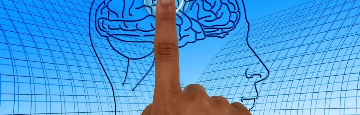 Descubre cómo funciona el cerebro humano: estructura, neuronas y sinapsis