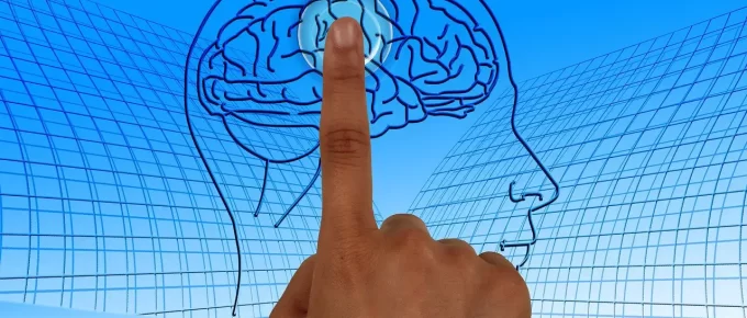 Descubre cómo funciona el cerebro humano: estructura, neuronas y sinapsis